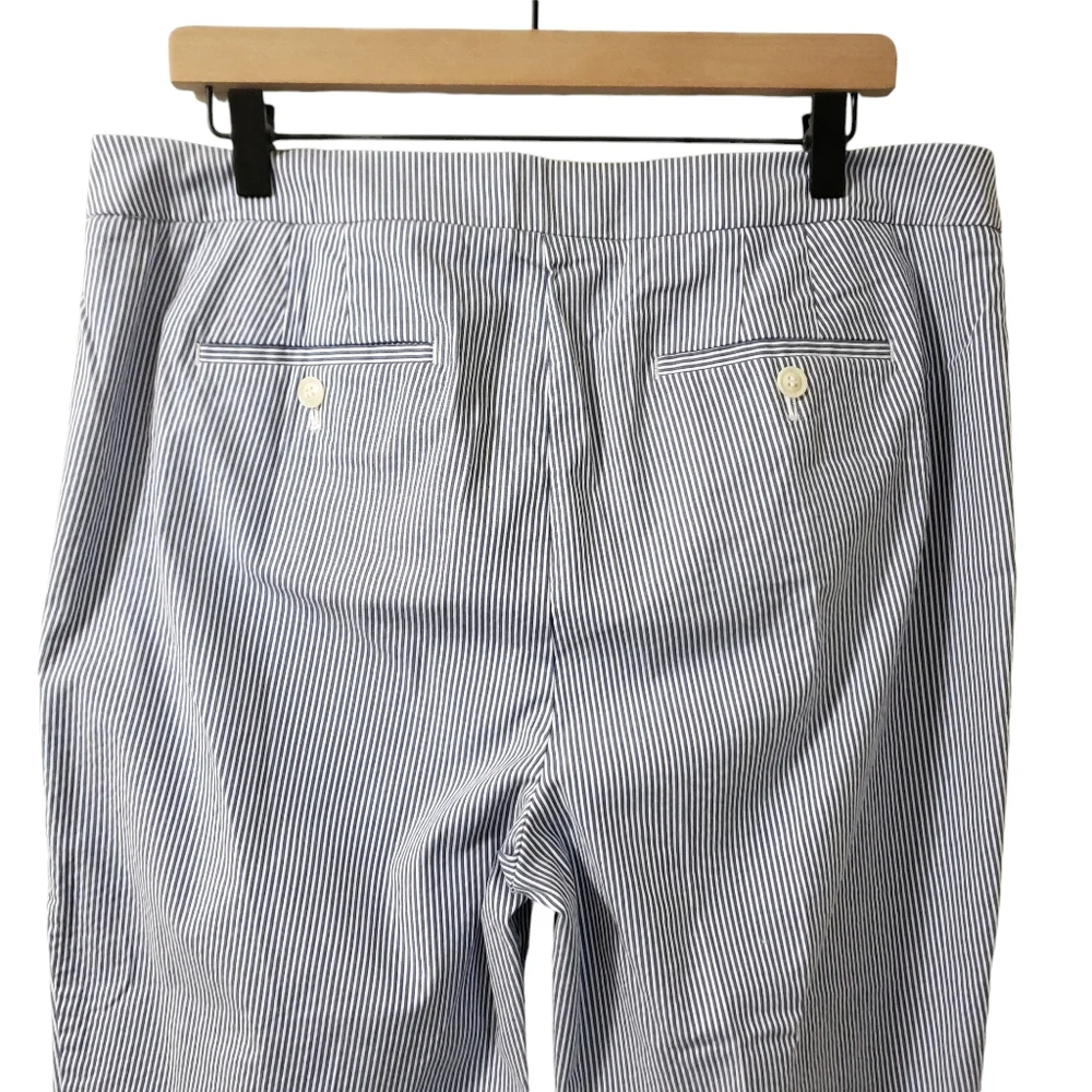Talbots‎ Chatham Pinstripe Slim Ankle Side Zip Pants Blue/White Womens Sz 14